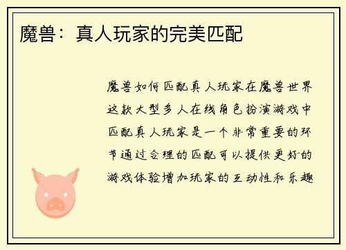 魔兽：真人玩家的完美匹配